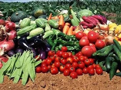 6月起廣州新政重磅來襲 房市調控與農產品安全雙管齊下，與你息息相關！