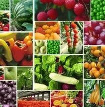 食藥監總局 堅持問題導向，加大食品農獸藥殘留治理力度，保障食用農產品安全