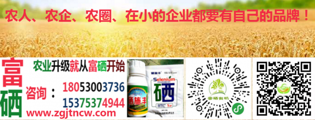 農業農村部實施新規，全國食用農產品全面推行合格證制度